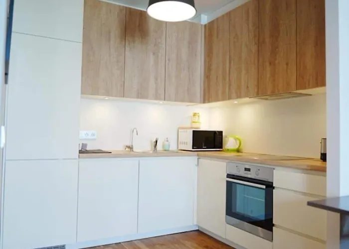 Modern With A Balcony Apartament Tallin